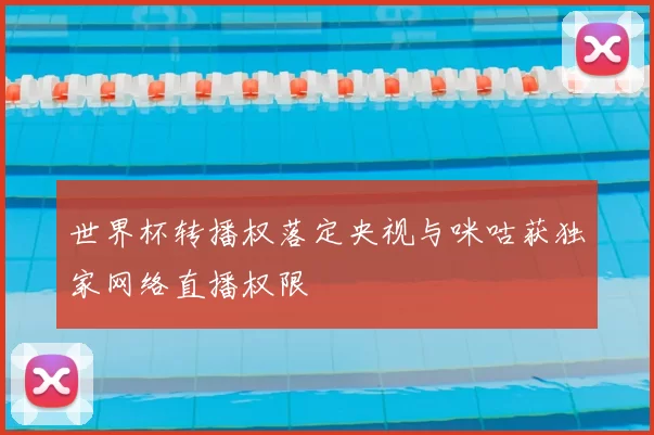 世界杯转播权落定央视与咪咕获独家网络直播权限
