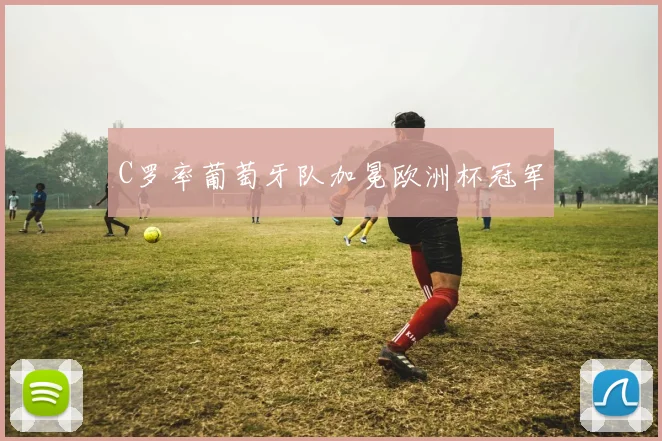 C罗率葡萄牙队加冕欧洲杯冠军