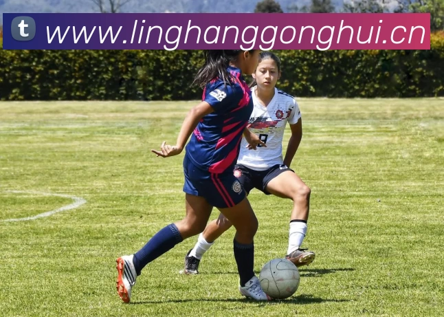 米兰体育在线登录入口 - 米兰(中国)APP 体育赛事宣传图